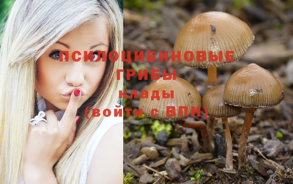 герыч Арсеньев