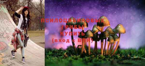apvp Балабаново