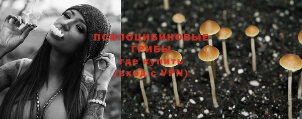PSILOCYBIN Армянск