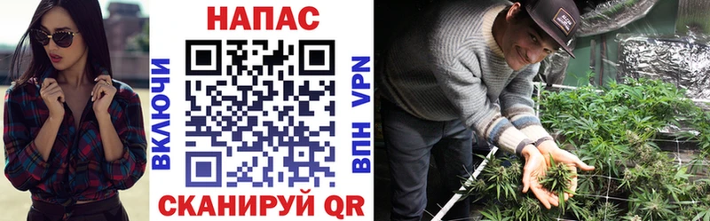 Бошки марихуана Bruce Banner  Октябрьск 